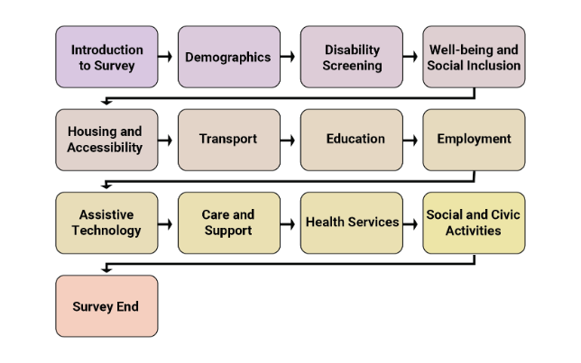 Image 1 as described above outlines the proposed flow of the pilot questionnaire modules