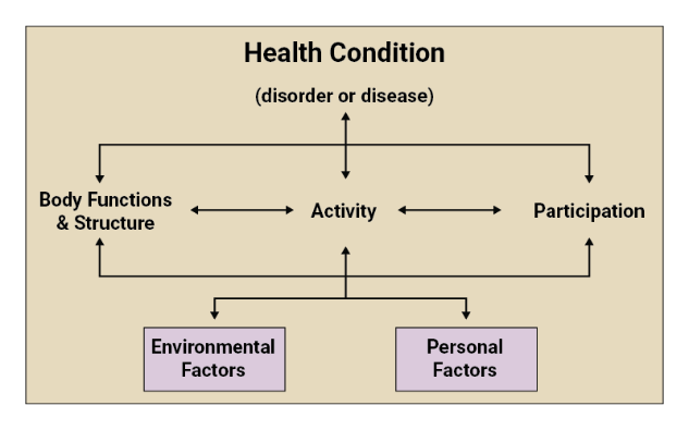 Image 2 shows the ICF model of disability as described above.
