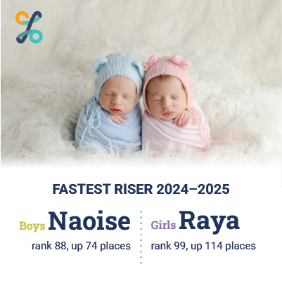 Infobyte Fastest Riser