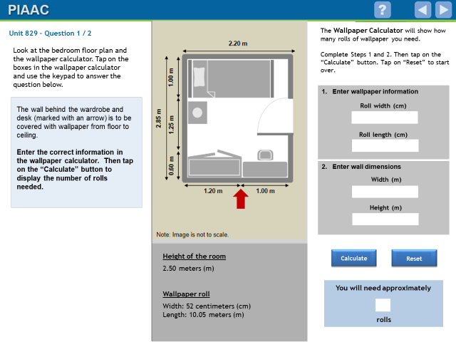 Figure 2.2 Example numeracy item: “Wallpaper”