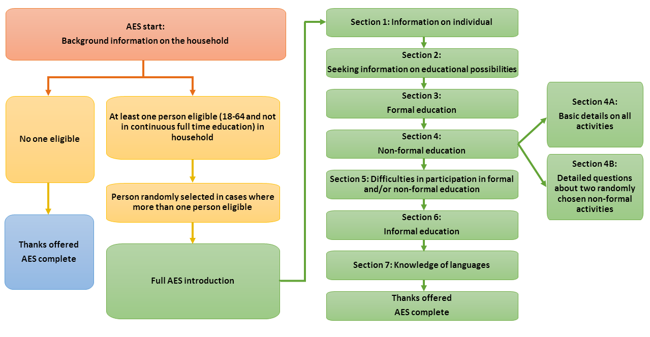 AES survey structure
