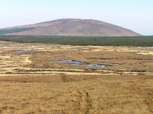 Frontier Publication peatlands and heathlands 2021 - Image Atlantic Blanket Bogs