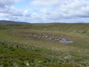 Frontier Publication peatlands and heathlands 2021 - Image 3 Mountain Blanket Bogs