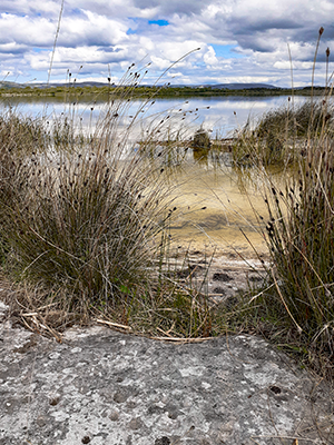 Photograph 6.3 Marl lake