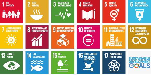 17 SDGs