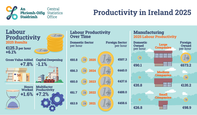 Productivity in Ireland 2024 - 2025
