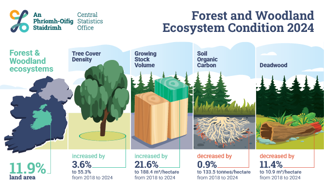 Ecosystem Condition Accounts – Forests and Woodlands 2024 